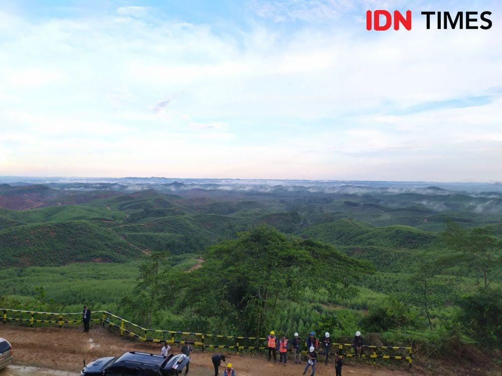 Kawasan IKN di Bukit Soedharmono, Desa Pemaluan, Kecamatan Sepaku, PPU (IDN Times/Yuda Almerio)