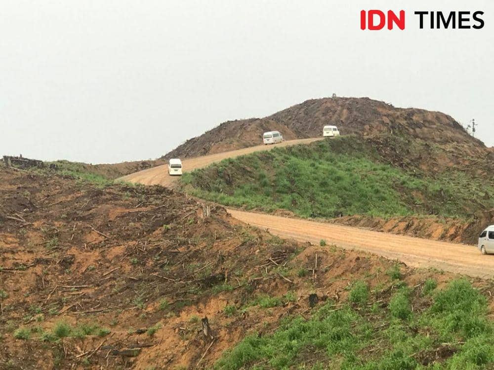 Rombongan Presiden Jokowi meninjau lokasi ibu kota baru, di Penajem Paser Utara, Kalimantan Timur (IDN Times/Teatrika Handiko Putri)