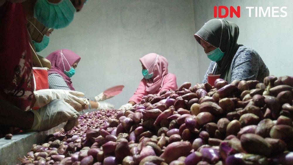 Ilustrasi bawang merah. IDN Times/Haikal Adithya