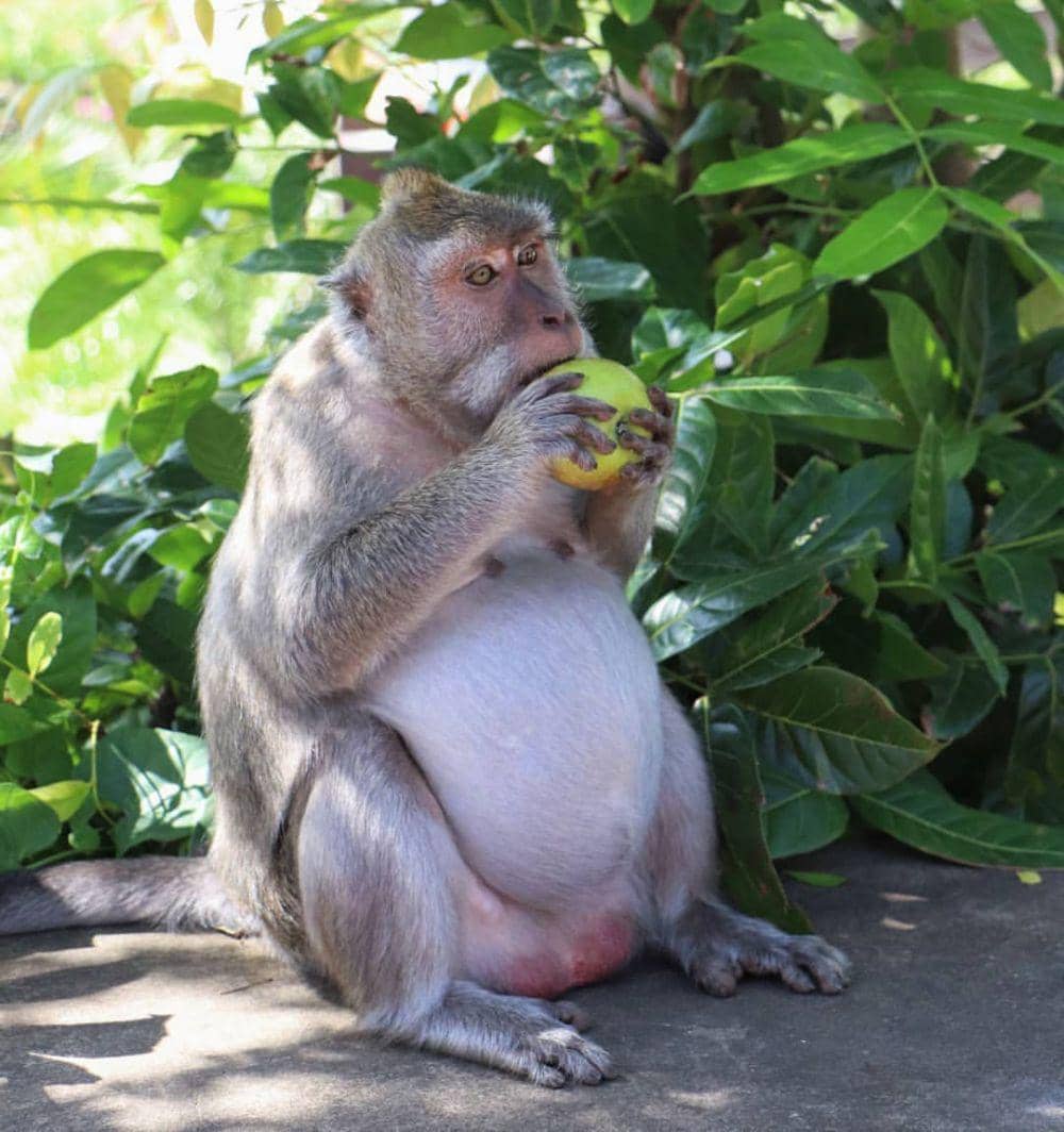 instagram.com/henrike_gar