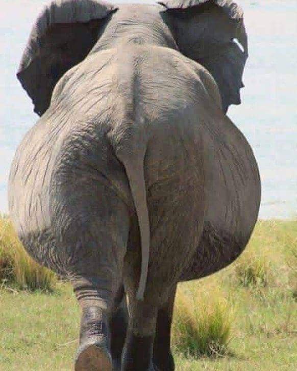 instagram.com/ozkan.konur