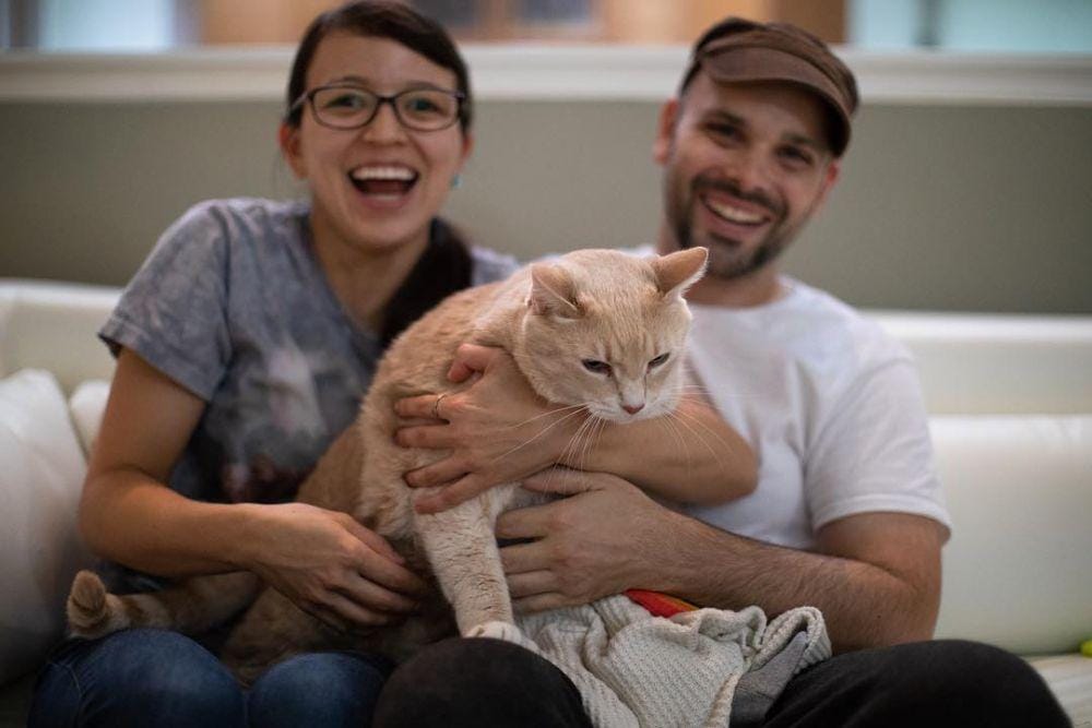 instagram.com/iambronsoncat