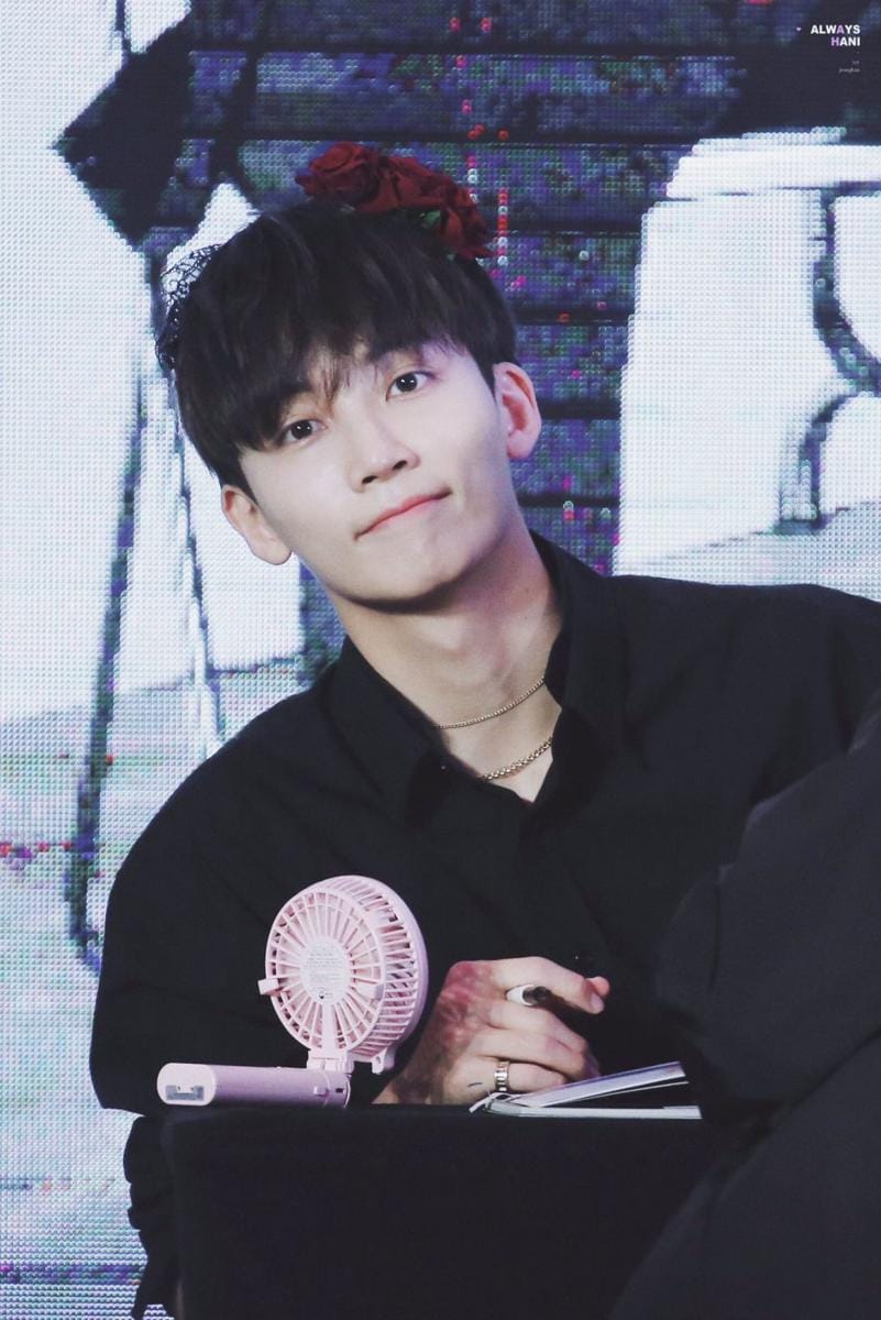 twitter.com/alwayshani1004