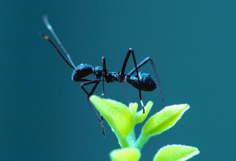 unsplash.com/Sian Cooper