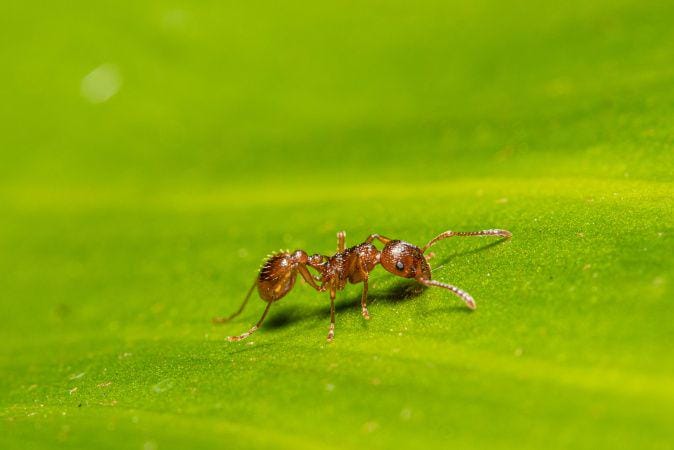 unsplash.com/Peter F. Wolf