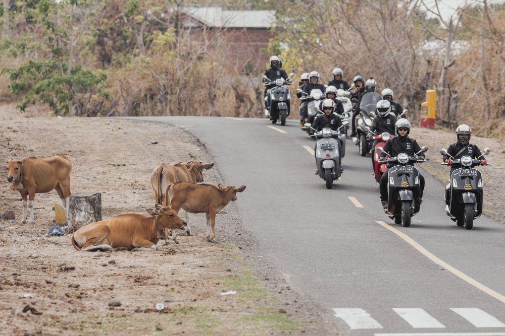 Touring Piaggio di Lombok. Dok. IDN Times/Istimewa