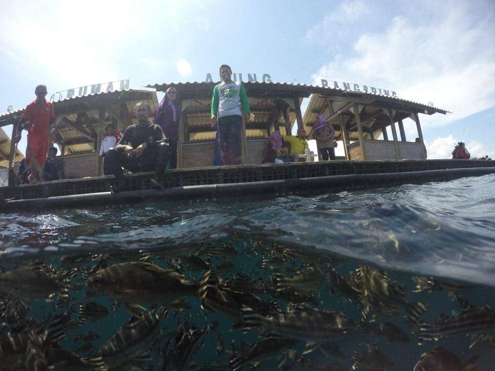 Kawasan wisata Bangsring Underwater. IDN Times/Istimewa