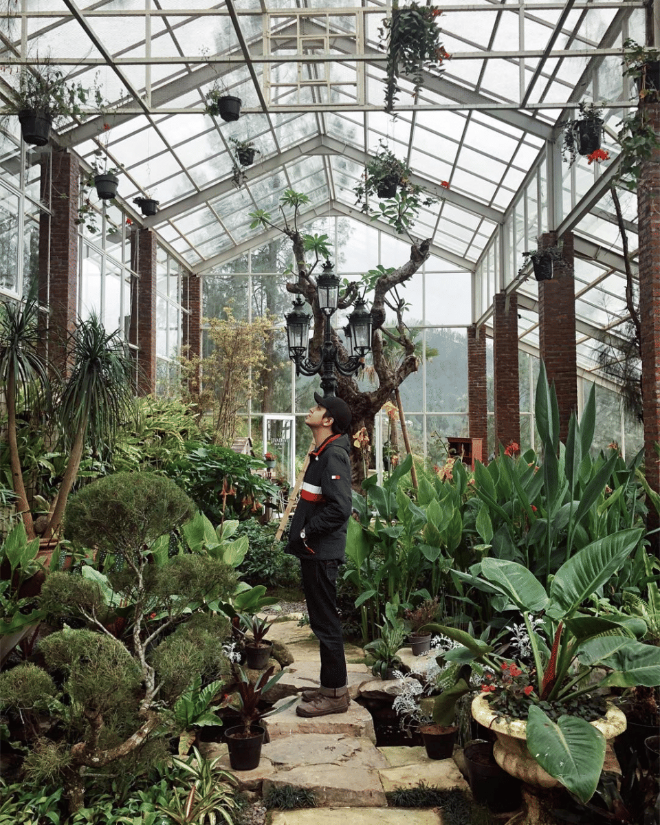 Instagram.com/kevinjulio1993