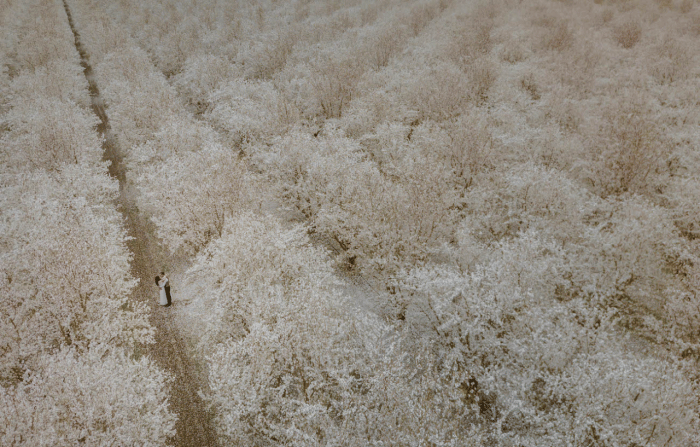 Junebugweddings.com/WilliamLu