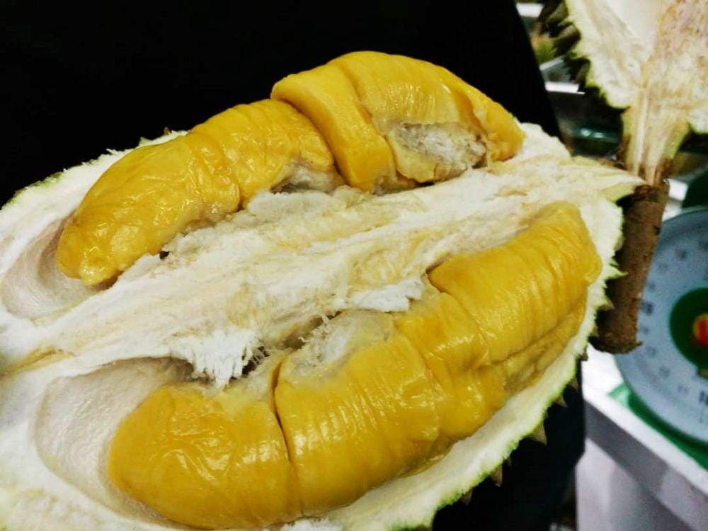 instagram.com/duriankingttdi