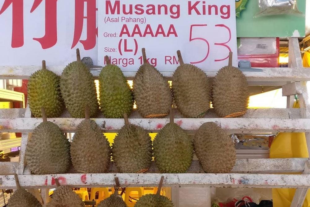 instagram.com/najmi888