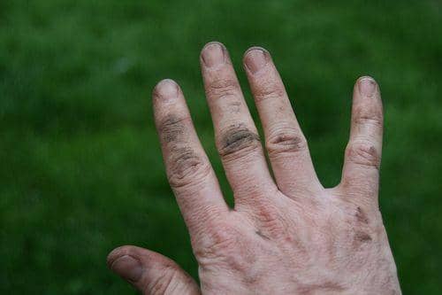 eyeinfo.wordpress.com