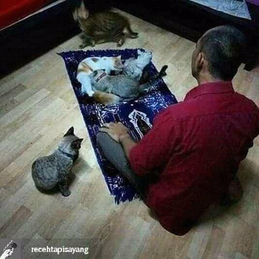 instagram.com/recehtapisayang