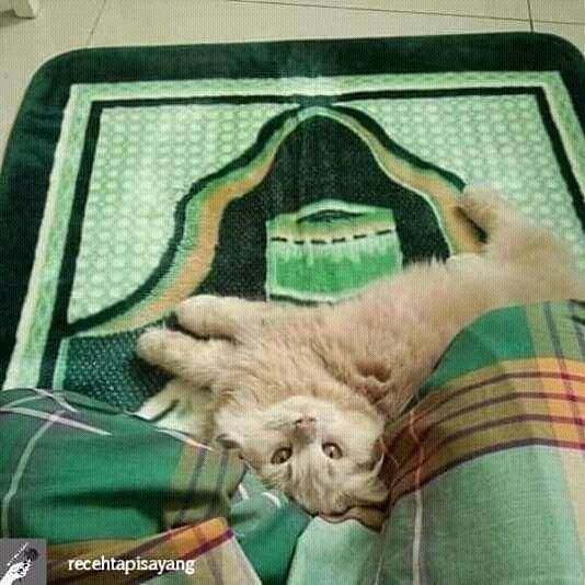 instagram.com/recehtapisayang
