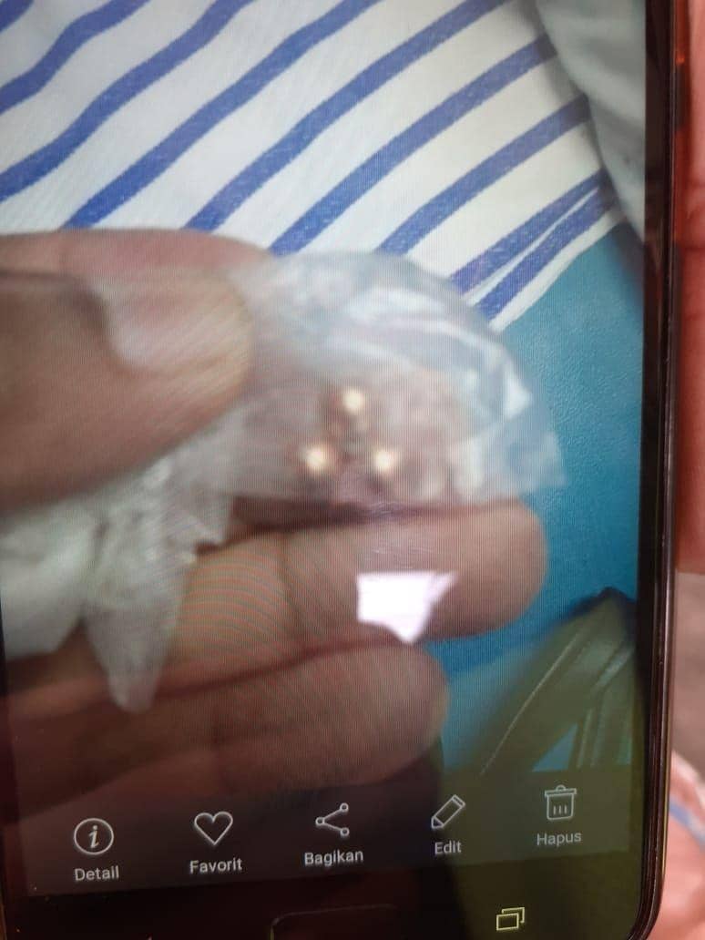 Dok. IDN Times/Istimewa