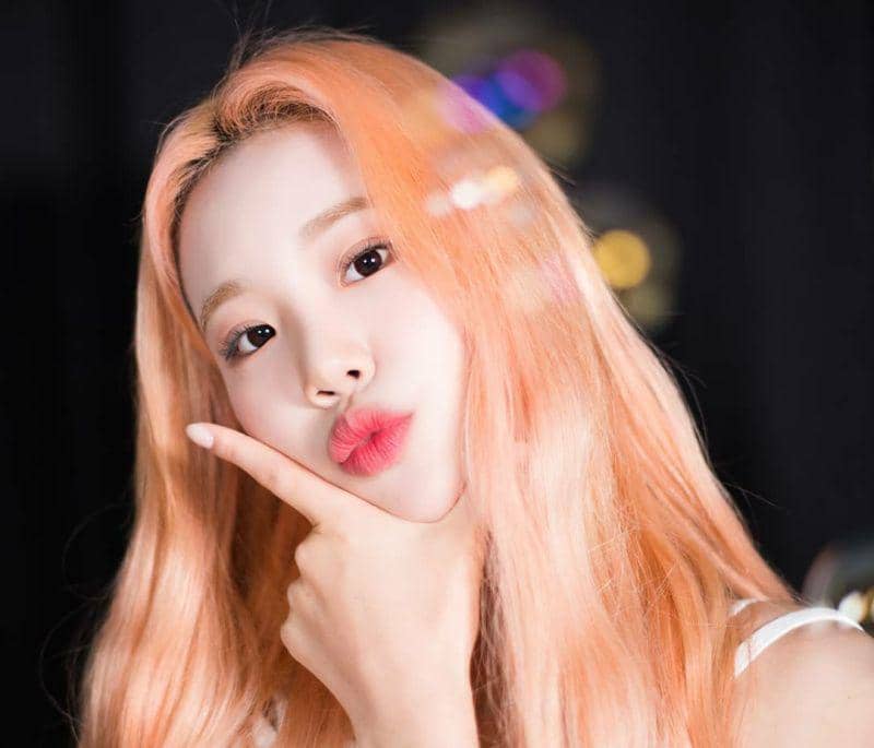 instagram.com/jooeslight