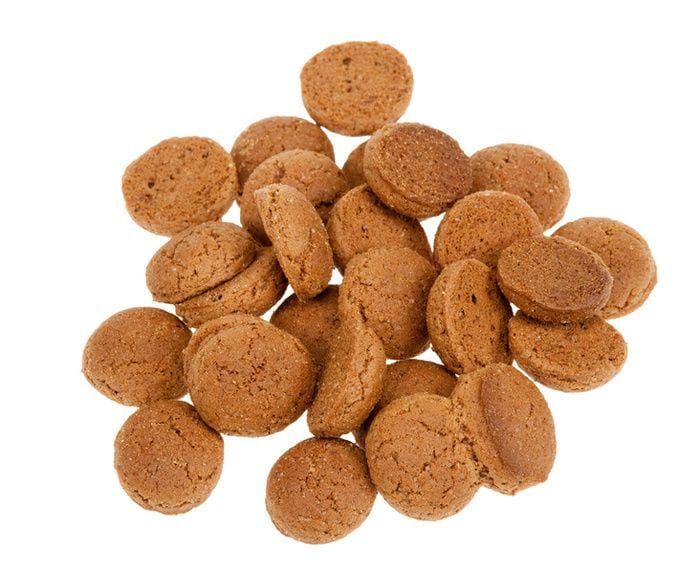 dutchancestrycoach.com