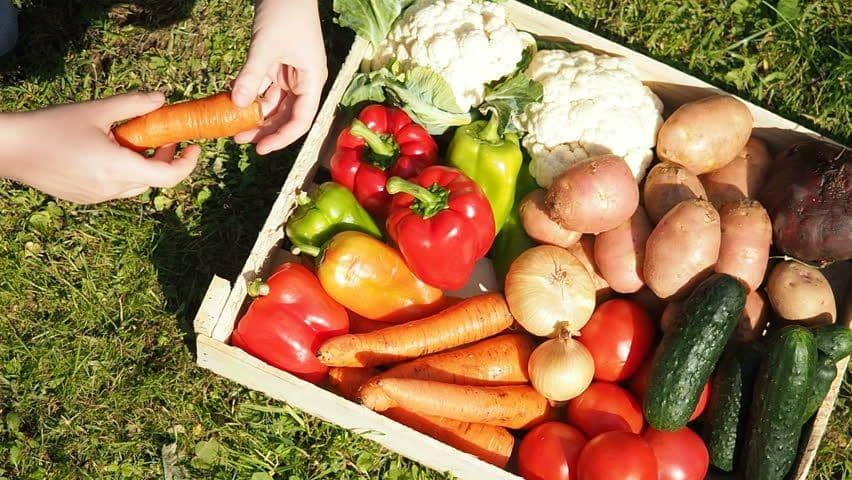 5 Tips Agar Tetap Aman Konsumsi Olahan Mentah, Cermati!