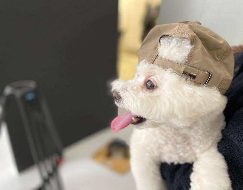 Instagram.com/bn_sj2013