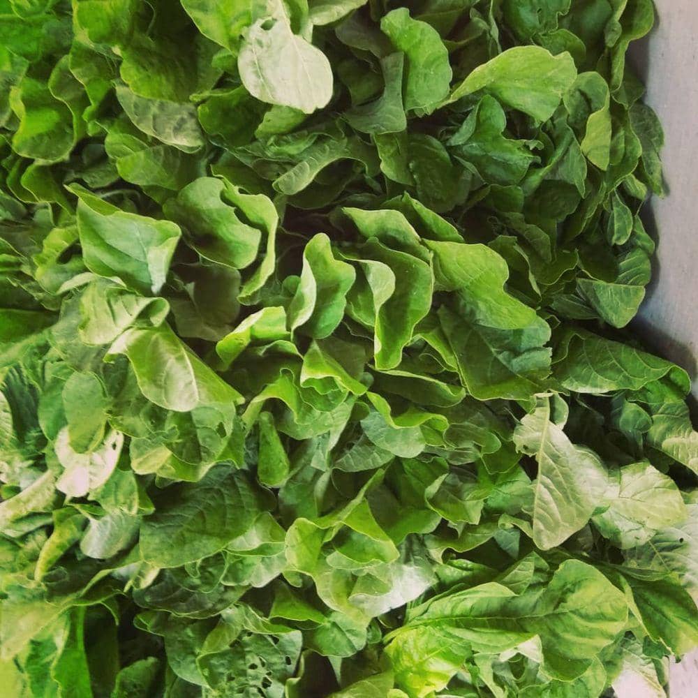 Instagram.com/kobarnaikoloeng