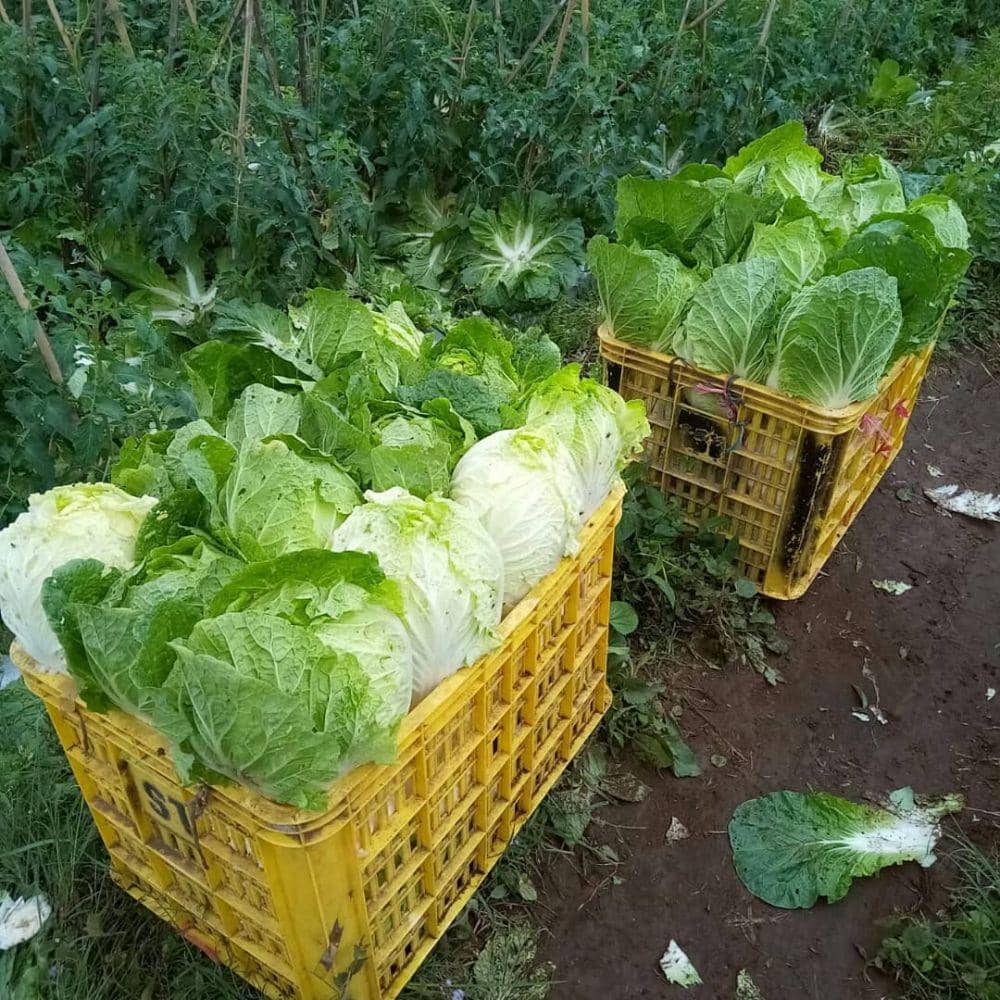 Instagram.com/maulanayusuf4409