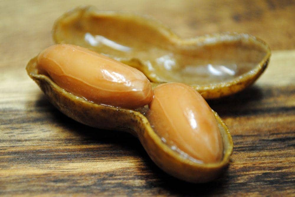 carnivalmunchies.com