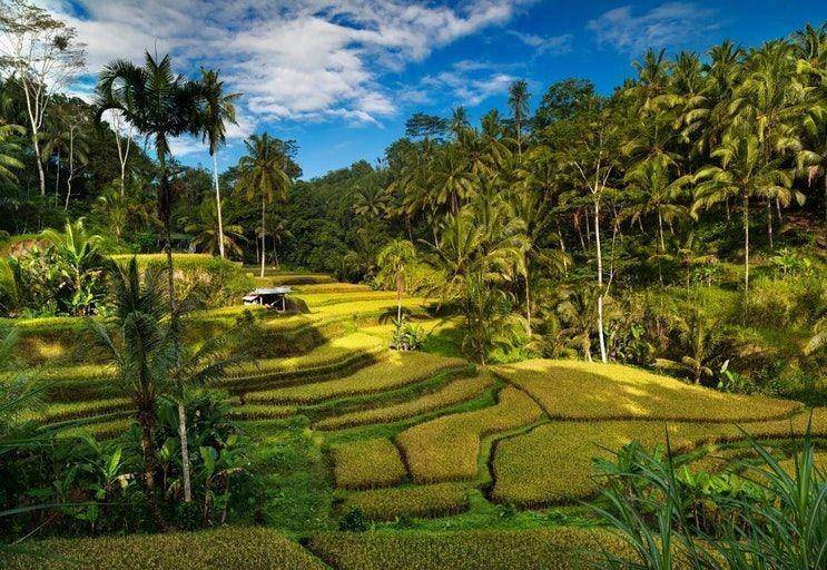 traveloka.cpm