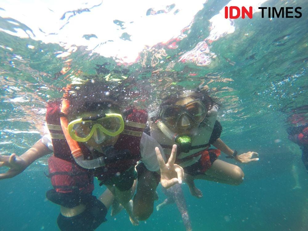 Wisata snorkeling di Tegal Mas Lampung (IDN Times/Feny Maulia Agustin)
