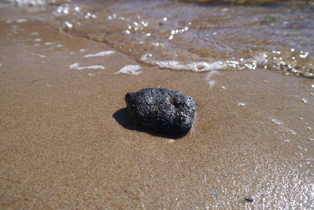 cimioutdoored.org