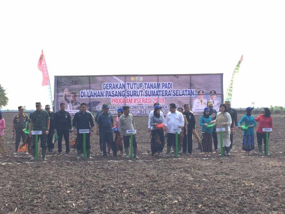 Pemanfaatan lahan rawa menjadi lahan pertanian (IDN Times/Istimewa)