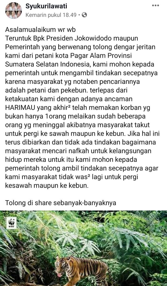 Pesan yang ditulis Syukurilawati (IDN Times/Istimewa)
