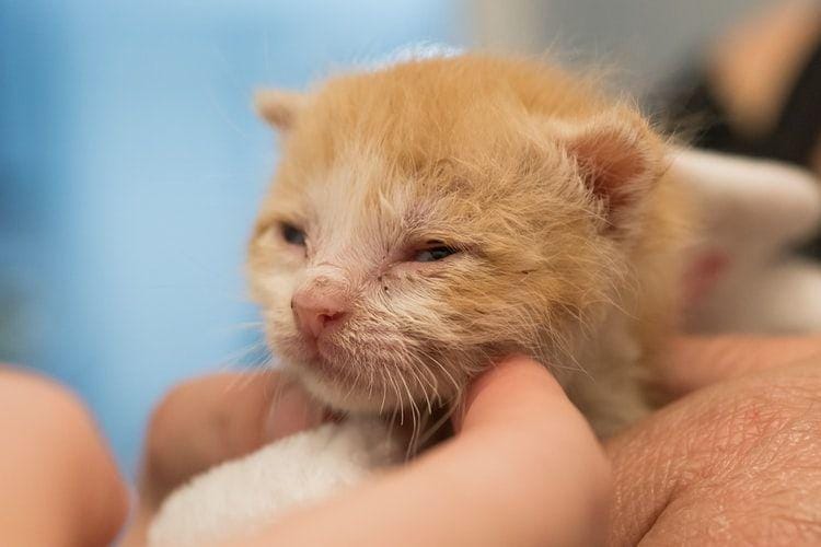 unsplash.com/@austinkirk