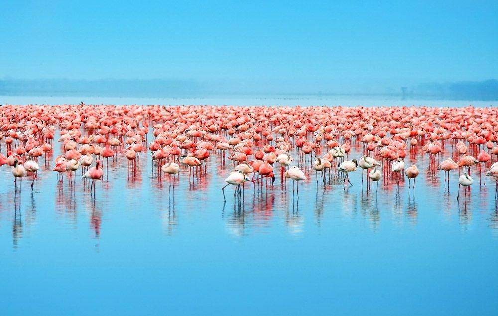 afktravel.com