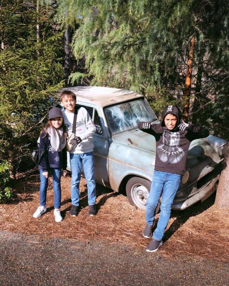 Instagram/darius_sinathrya