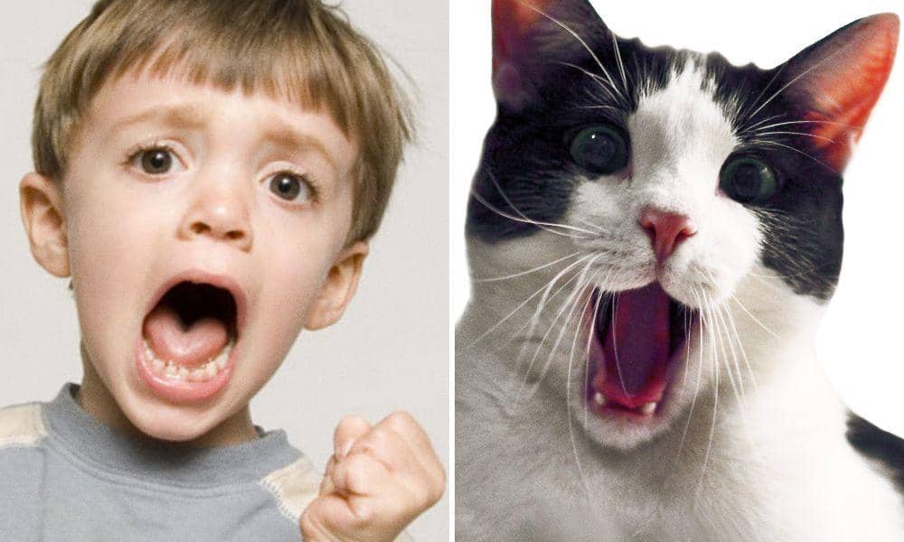 neodolatelna.klocher.sk