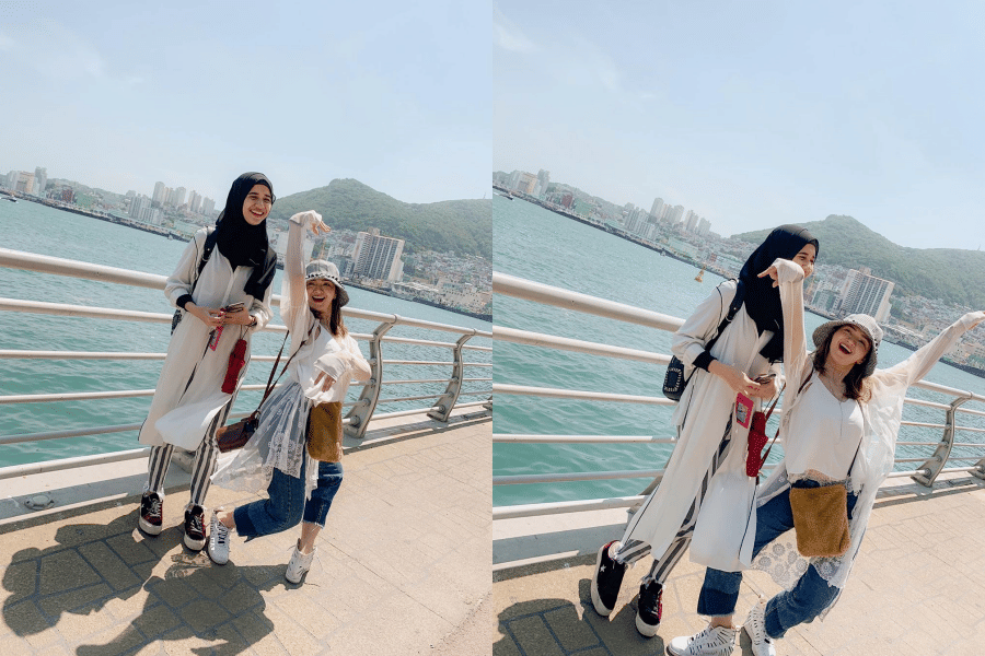 instagram.com/furrycitra