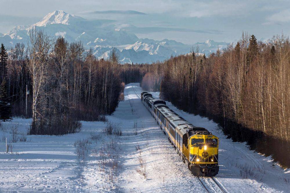 alaska.org