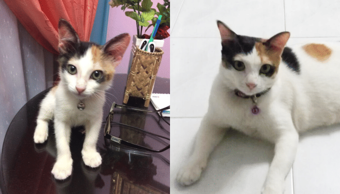 Twitter.com/fxrdxnll