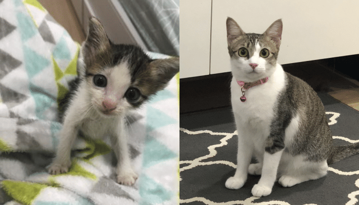 Twitter.com/natrahaha