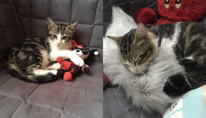 Twitter.com/ThEDaRkWiTcH118