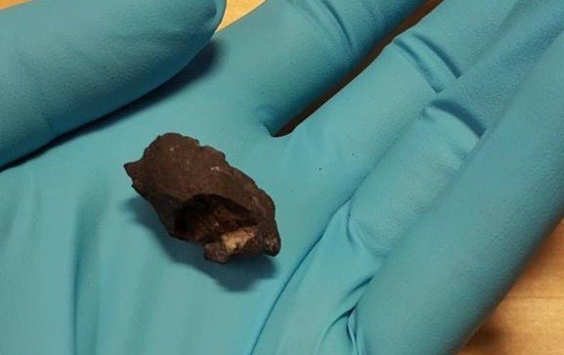 scientificamerican.com