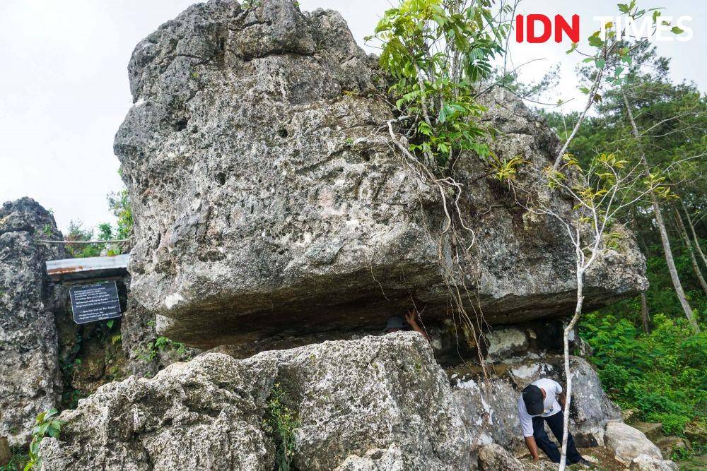 IDN Times/Dhana Kencana