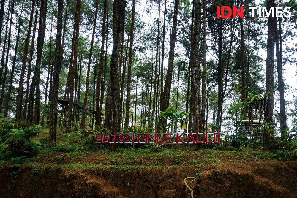 IDN Times/Dhana Kencana