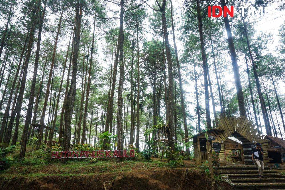 IDN Times/Dhana Kencana