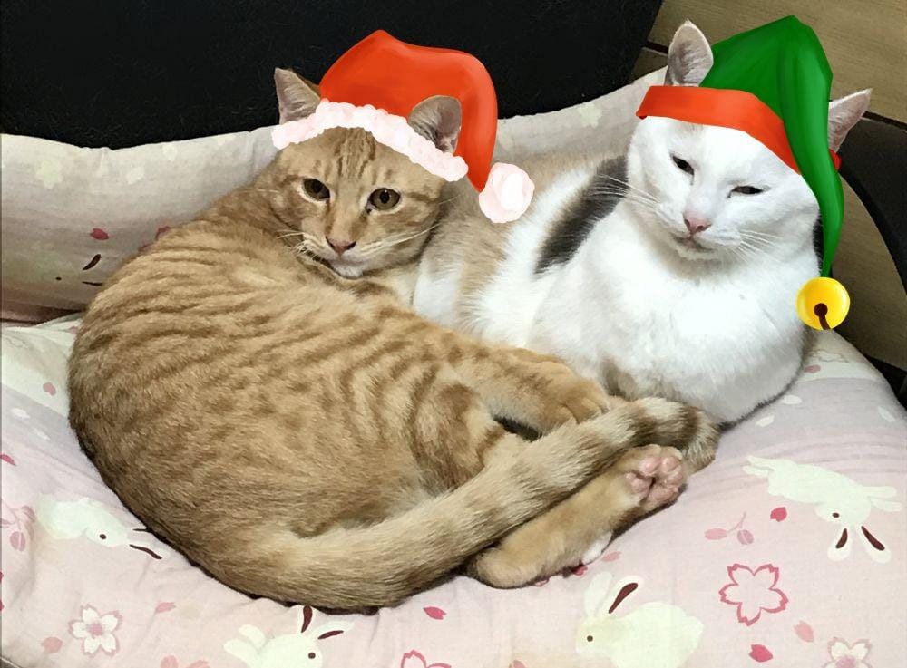 Twitter.com/lemurcatart