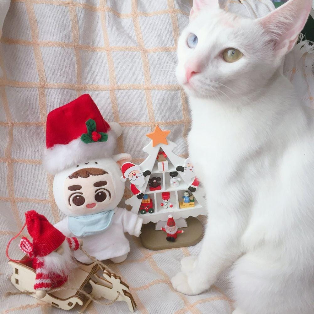 Twitter.com/honeynin1_