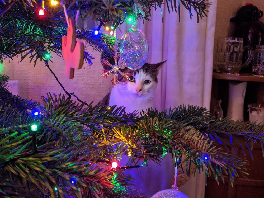 Twitter.com/ottmandy