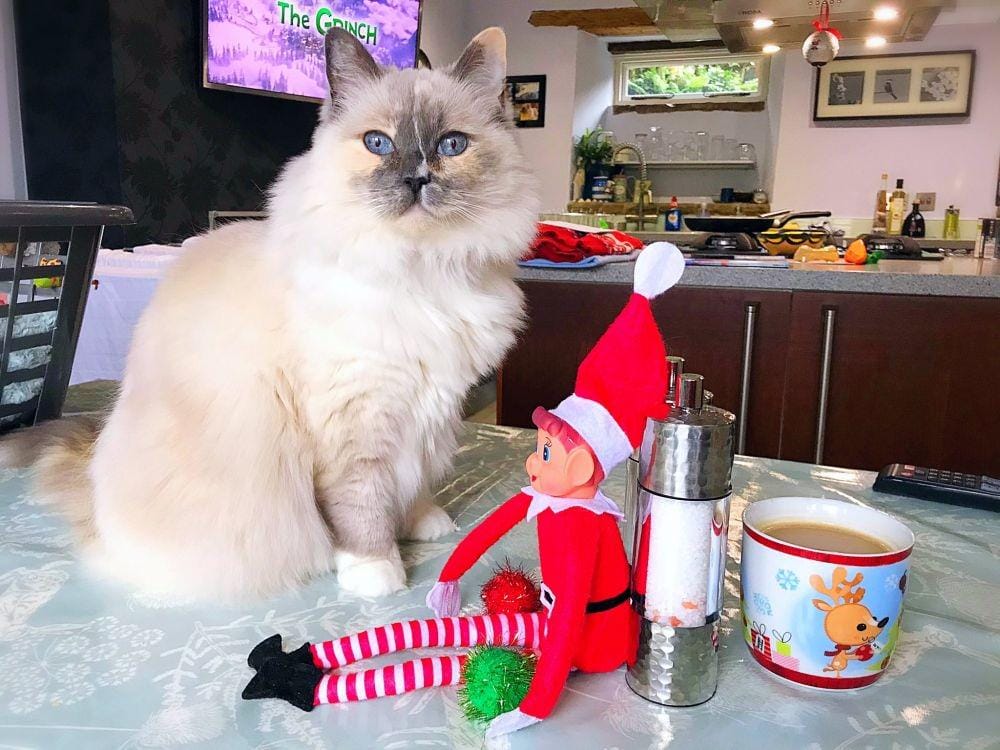 Twitter.com/betty_boo_kat