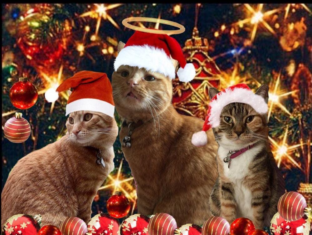 Twitter.com/ottogingerboy