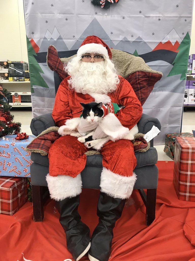 Twitter.com/misshbishtweets